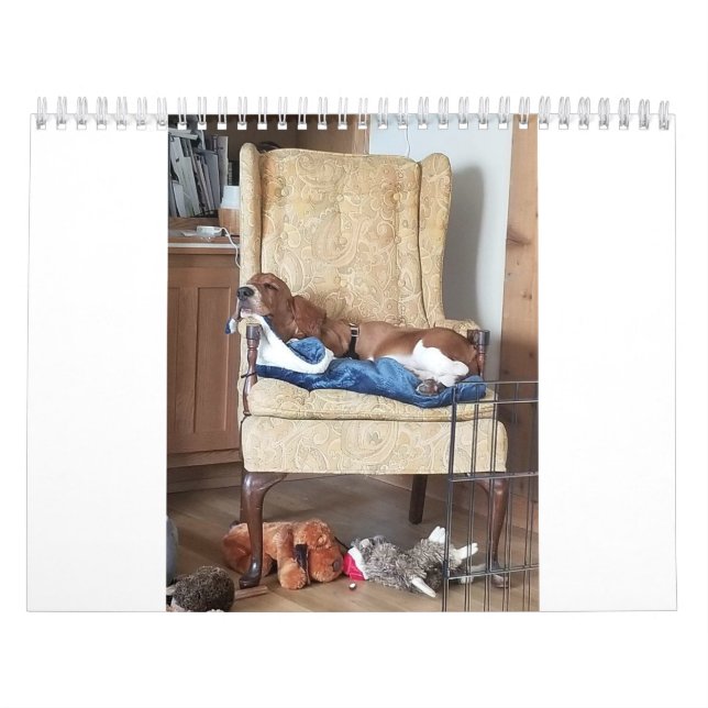 24 månader för kvarvarande tillgångar kalender (Omslag)