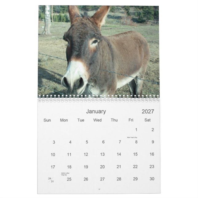 24 månaders Darling Donkey-kalender Kalender (Jan 2027)