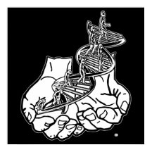 24-tums x 24-tums, Poster Papper (projektionsyta)