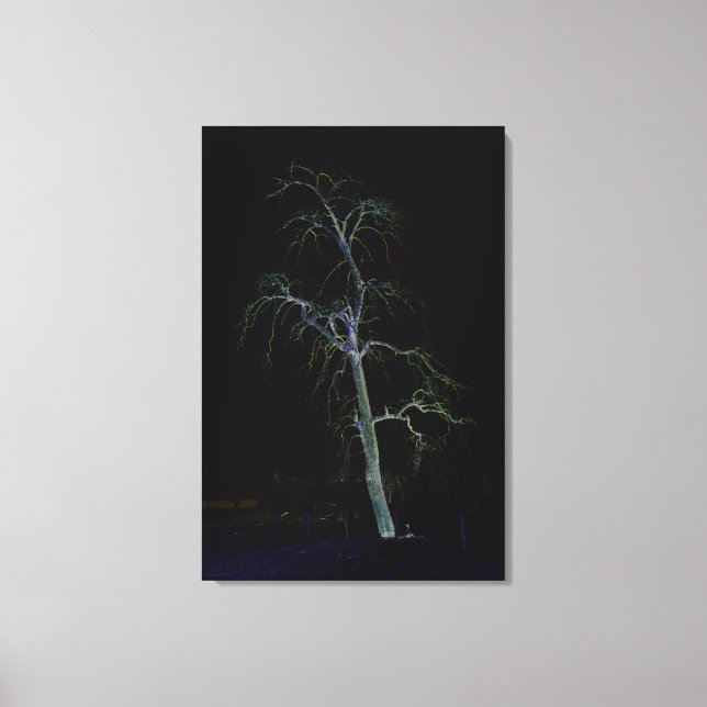 24 x 36 (60 x 90 cm)-wacnm på mörk canvastryck (Framsida)