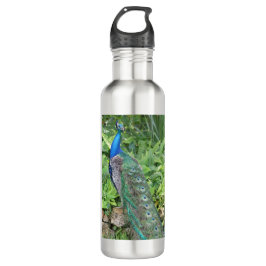 24oz Stainless Steel Florida Peacock Vattenflaska