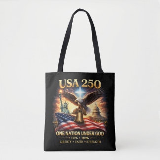 250 Amerika Tygkasse