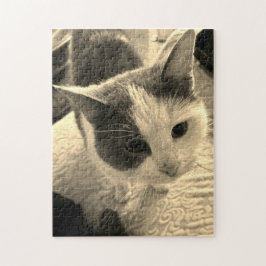 252 biet-pussel pussel