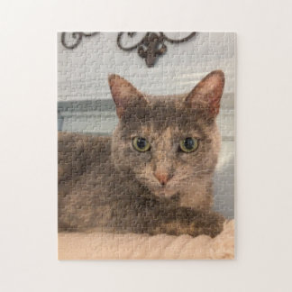 252 biet-pussel pussel