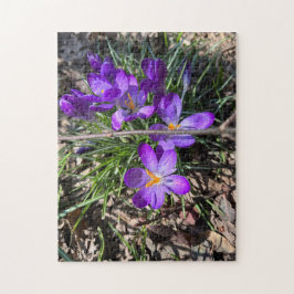 252 biet-pussel pussel