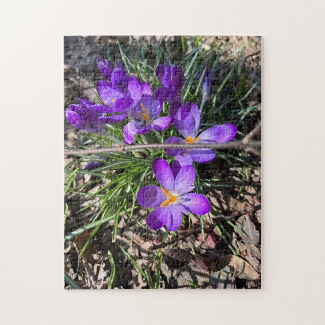 252 biet-pussel pussel (Vertikal)