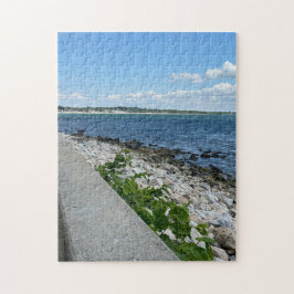 252 biet-pussel pussel