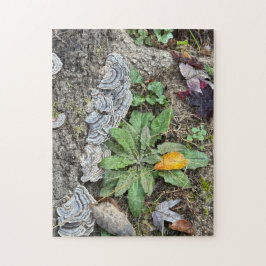 252 biet-pussel pussel