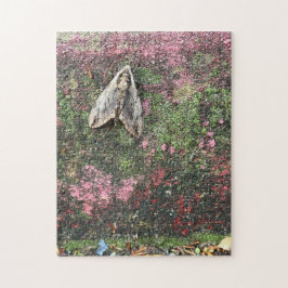 252 biet-pussel pussel