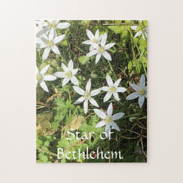 252 biet-pussel pussel (Vertikal)