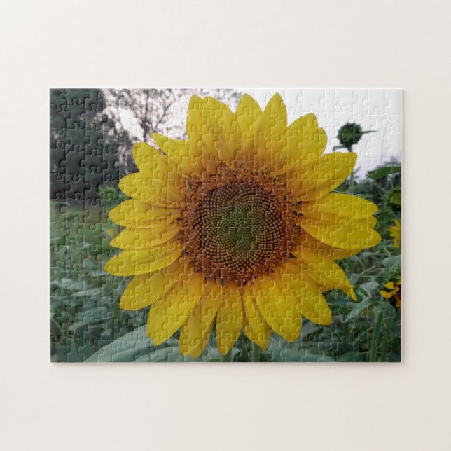 252 Piece Puzzle Featuring a Bold Sunflower Photo Pussel (Horisontell)