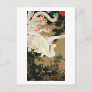 25. 老 松 白 鳳 図, 若 Gräs-träd & Phoenix, Jakuchu Vykort