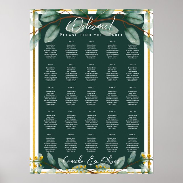 25 Bord Grey Lövs BUDGET-stadgar Poster (Framsidan)