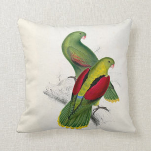 #25--Crimson-wingedparrakeeten parar Kudde