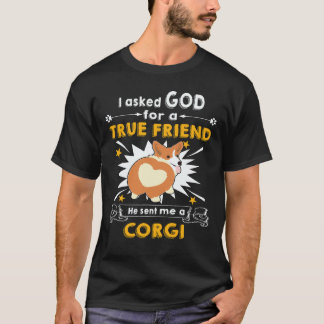 25 Han skickade mig en Corgi T Shirt