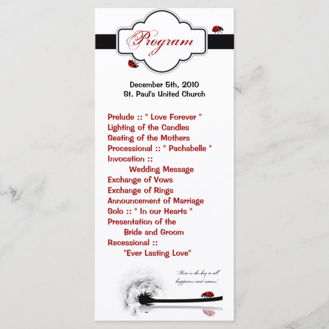 25 Nyckelpiga med Bröllopsprogram 4x9 Dandilion Fl Program (Framsida)