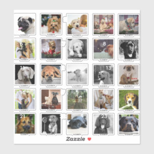 25 Personligers HUND KALENDERFOTOS NAMN Klistermärken