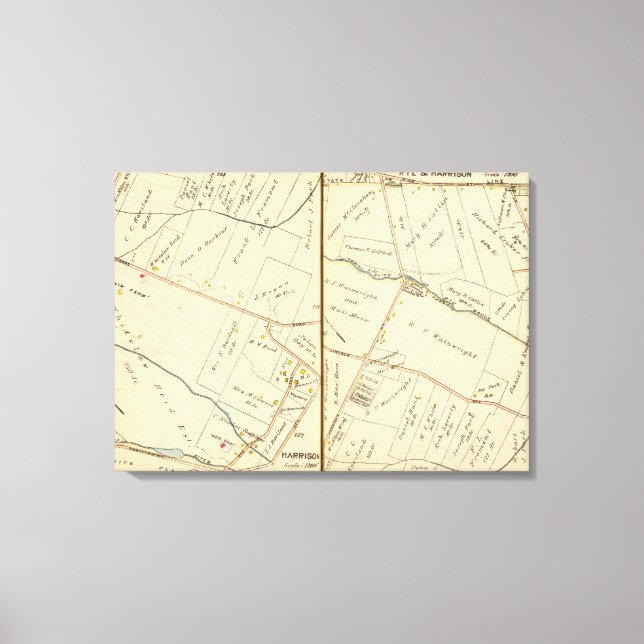 262263 Rye, Harrison Canvastryck (Framsida)