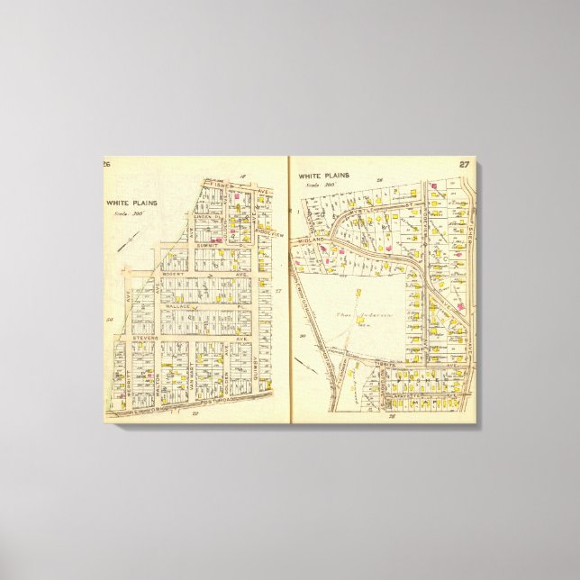 26-27 vita slättor canvastryck (Framsida)