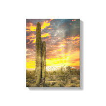 2706-Arizona Desert at Sunset