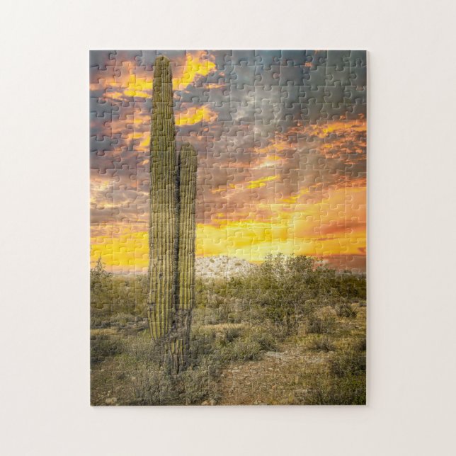 2706-Arizona Desert liggande vid Sunset Pussel (Vertikal)