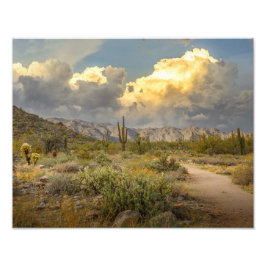 2729-Arizona Desert Ligcape vid solnedgång Fototryck