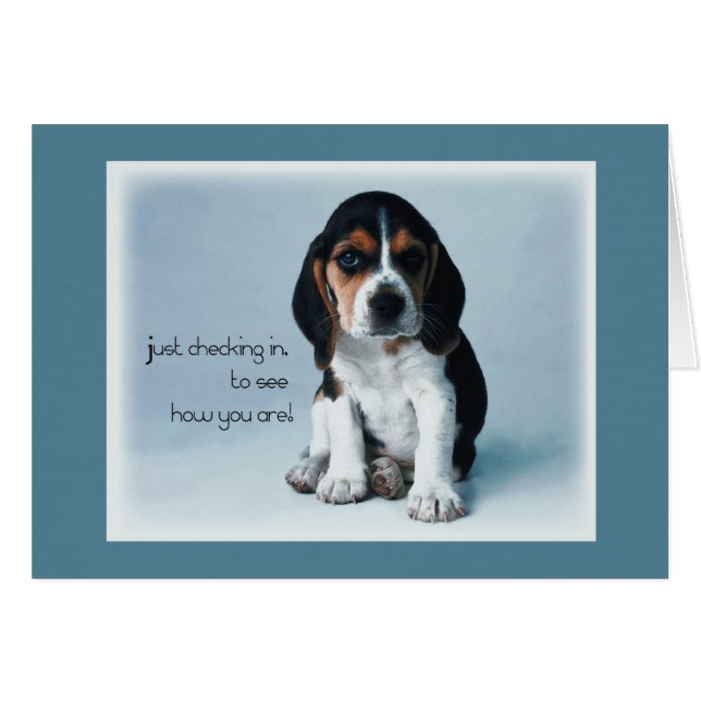 2769 Puppy Checking in Hälsningskort (Framsidan Horizontal)