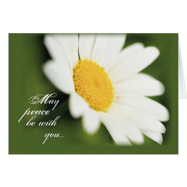 2771 Daisy för fred Hälsningskort (Framsidan Horizontal)