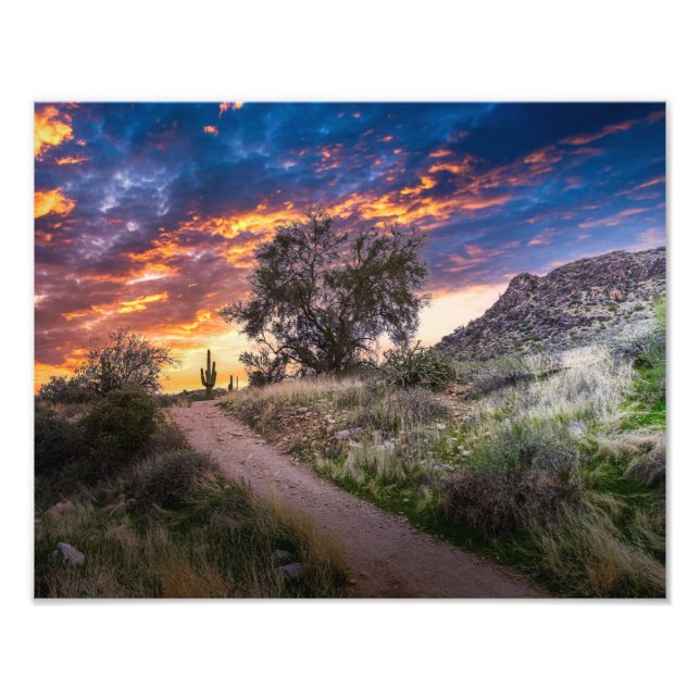 2815-Desert liggande vid solnedgång Fototryck (Framsidan)