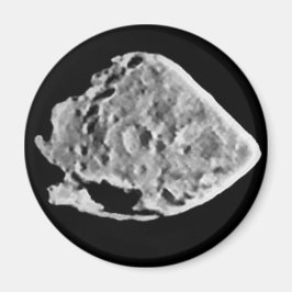 2867 Steiner (1969 VC) Magnet