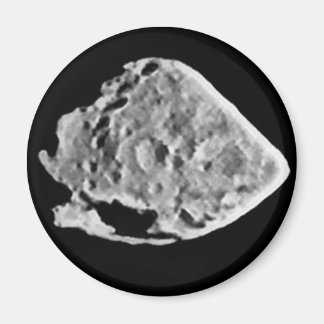 2867 Steiner (1969 VC) Magnet