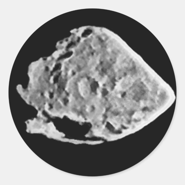 2867 Steiner (1969 VC) Runt Klistermärke (Framsida)