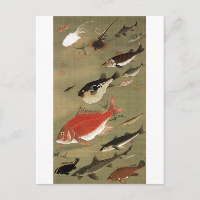 28 群 魚, 若 冲 olika fisken, Jakuchau, Japan Art Vykort (Framsida)