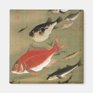 28. 群 魚, 若 冲 olika fisken, Jakuchu, Japan Art Magnet
