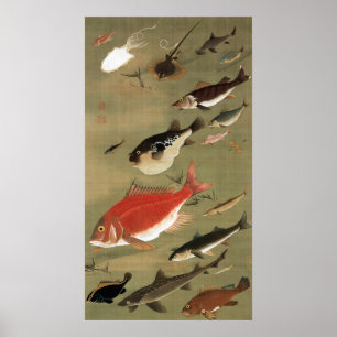 28. 群 魚, 若 冲 olika fisken, Jakuchu, Japan Art Poster