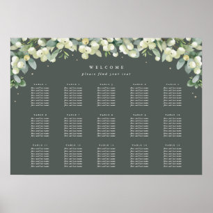 28 x 20 tum 15 Bord med 8 sätesdiagram Poster
