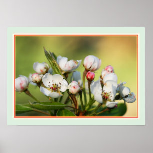 28 x 20 tum, Poster Pappert (projektionsyta)
