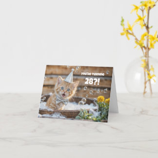 28th Birthday Cute Funny Kitty Cat Bubble Bath Kort