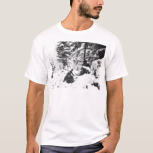 290. AmerikanRegiment i striden av bucklan Tee