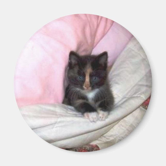 29154_Muffin-the-Cat_620 Magnet (Framsidan)