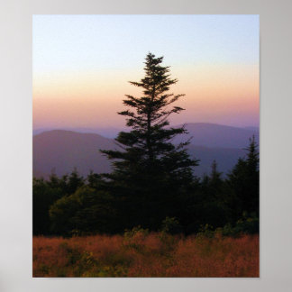 2973 POSTER