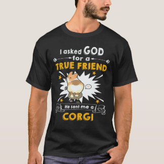 29 Han skickade mig en Corgi T Shirt