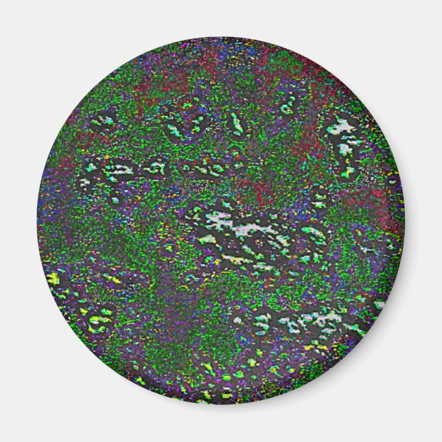 29 MAGNET (Framsidan)
