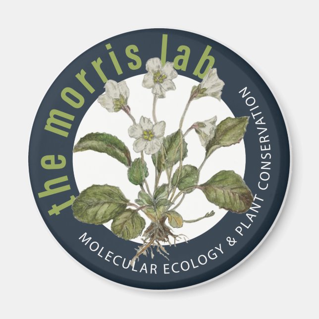 2 1/4 i runda magnet med Morris Lab-logotyp (Framsidan)