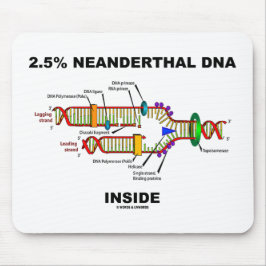 2,5% Neanderthal DNA Inside DNA- replikering Musmatta