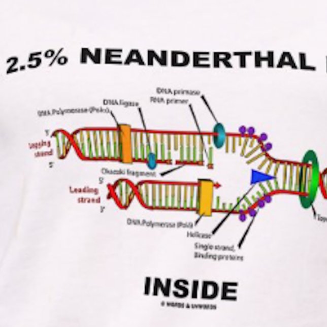 2,5% neanderthal DNA Inside (DNA-replikering) Tee Shirt (Tee featuring DNA replication + the saying "2.5% Neanderthal [DNA] Inside" for any Homo sapien)