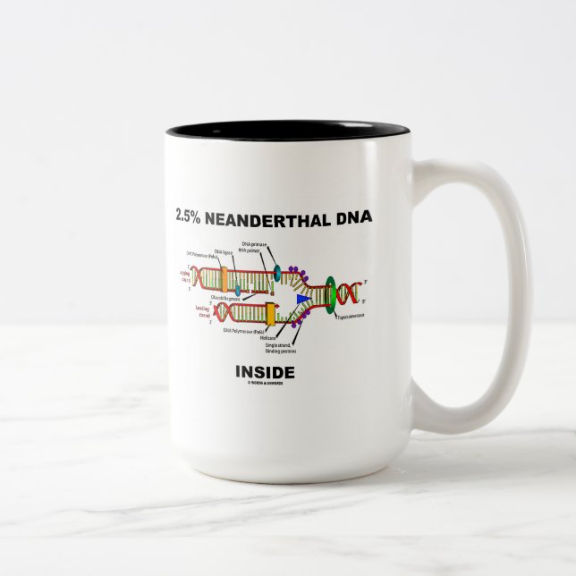 2,5% neanderthal DNA Inside (DNA-replikering) Två-Tonad Mugg (Höger)
