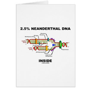 2,5% NeanderthalDNA-insida (DNA-replicationen) Hälsningskort