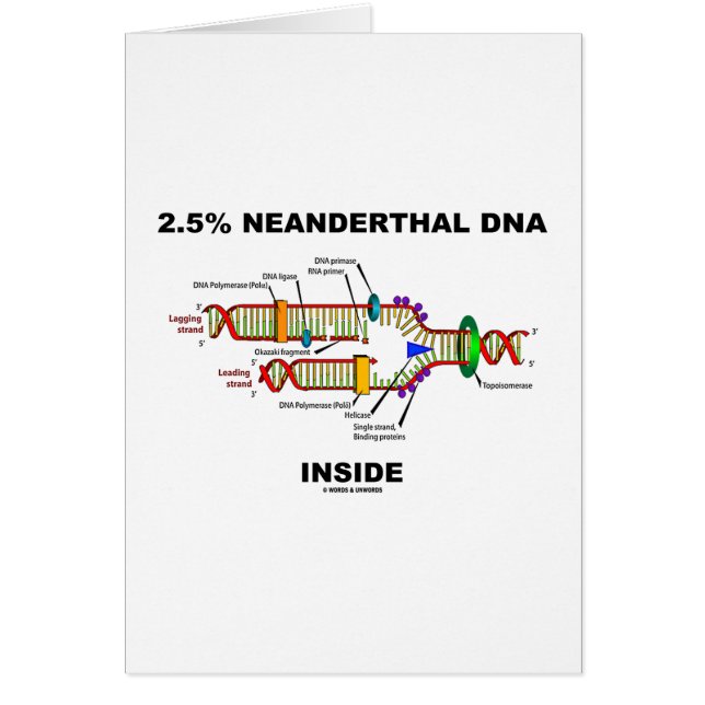 2,5% NeanderthalDNA-insida (DNA-replicationen) Hälsningskort (Framsidan)
