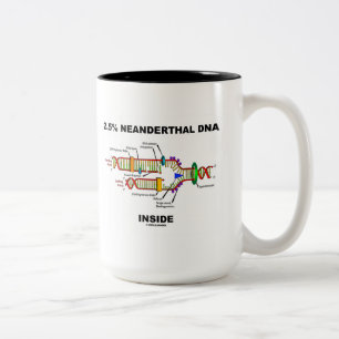 2,5% NeanderthalDNA-insida (DNA-replicationen) Två-Tonad Mugg